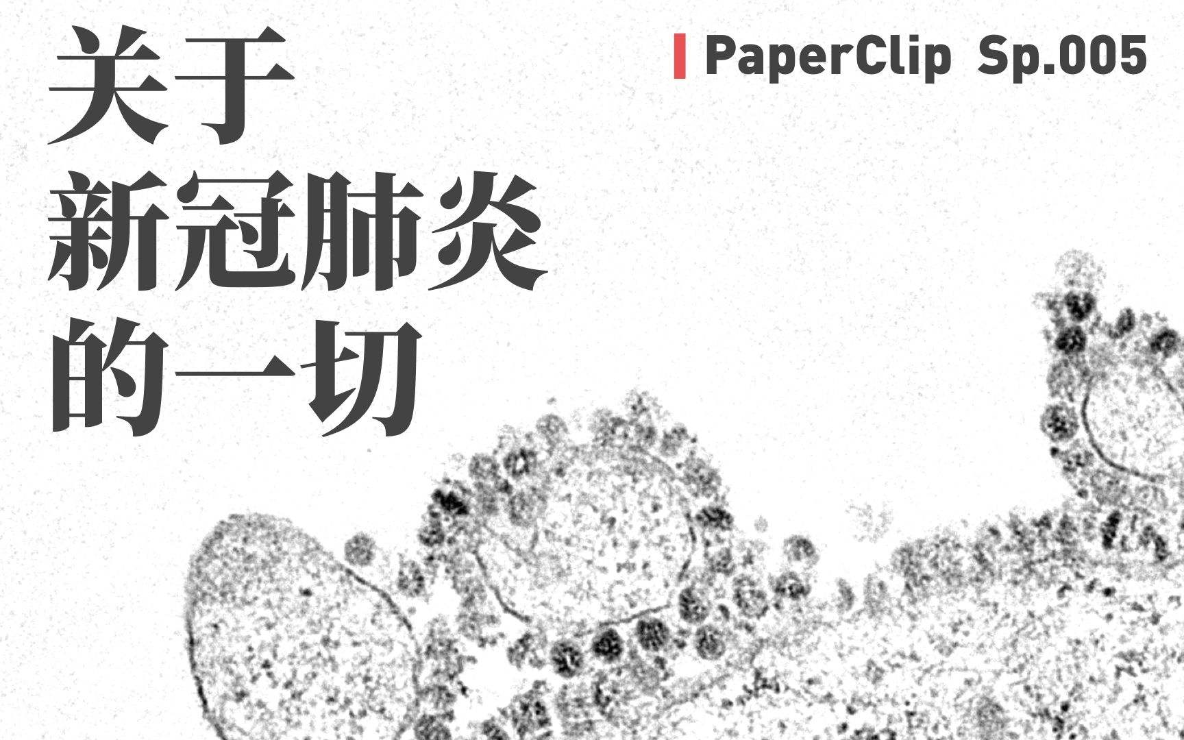 回形針.短視頻營銷的三板斧
