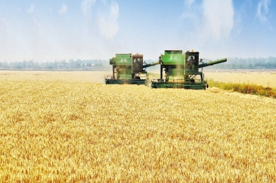 Img407710434.jpg
