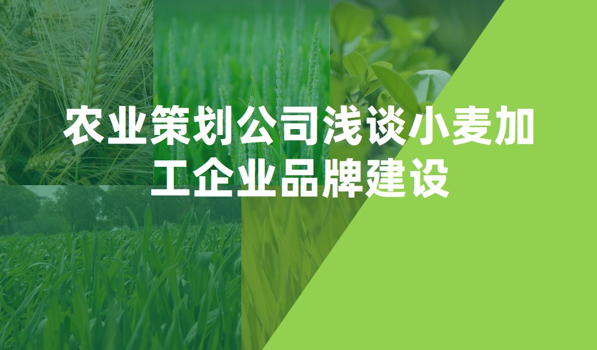 農(nóng)業(yè)策劃公司淺談小麥加工企業(yè)品牌建設(shè)